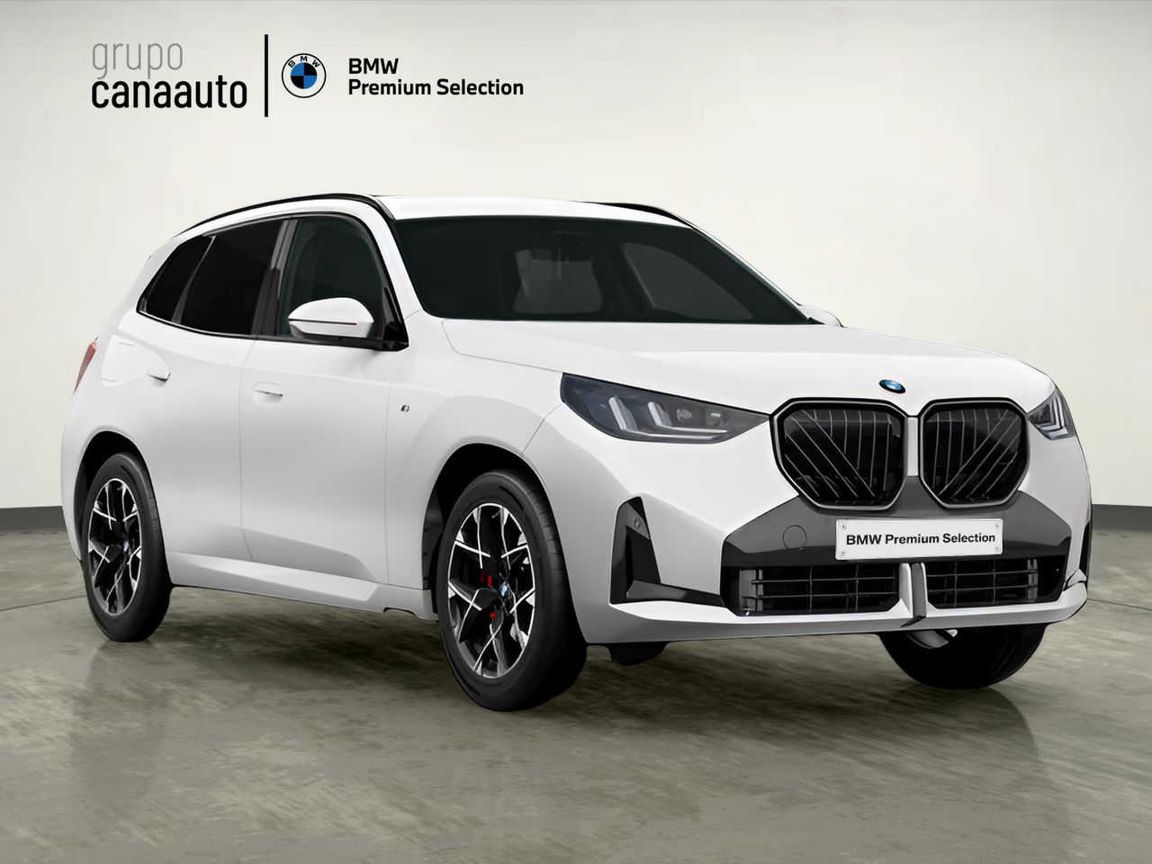 BMW X3 xDrive20d 145 kW (197 CV) - Foto 2