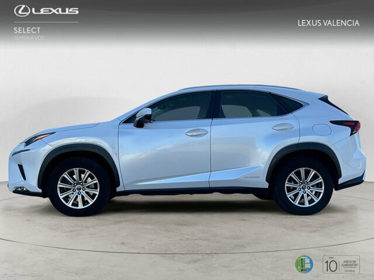 lexus nx 2019 / foto grande (3)