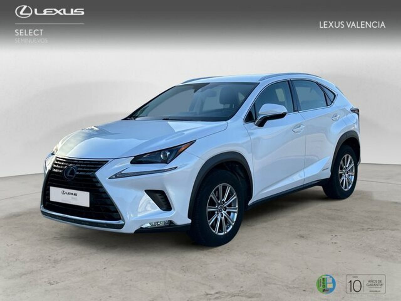 Foto lexus nx 2019 /