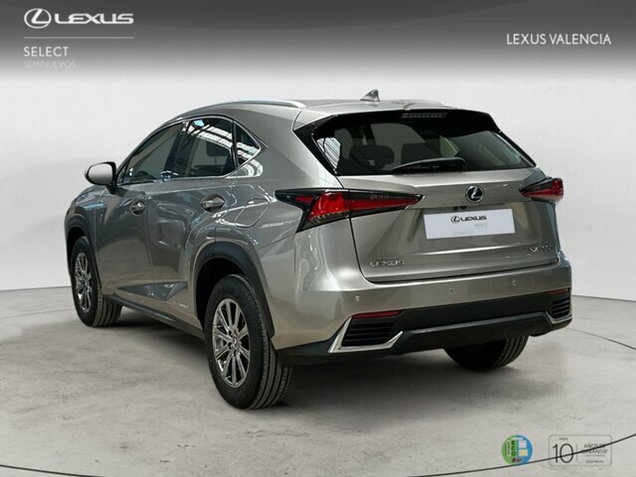 lexus nx 2019 / foto grande (2)