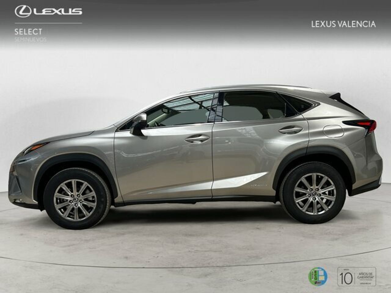 lexus nx 2019 / foto grande (3)