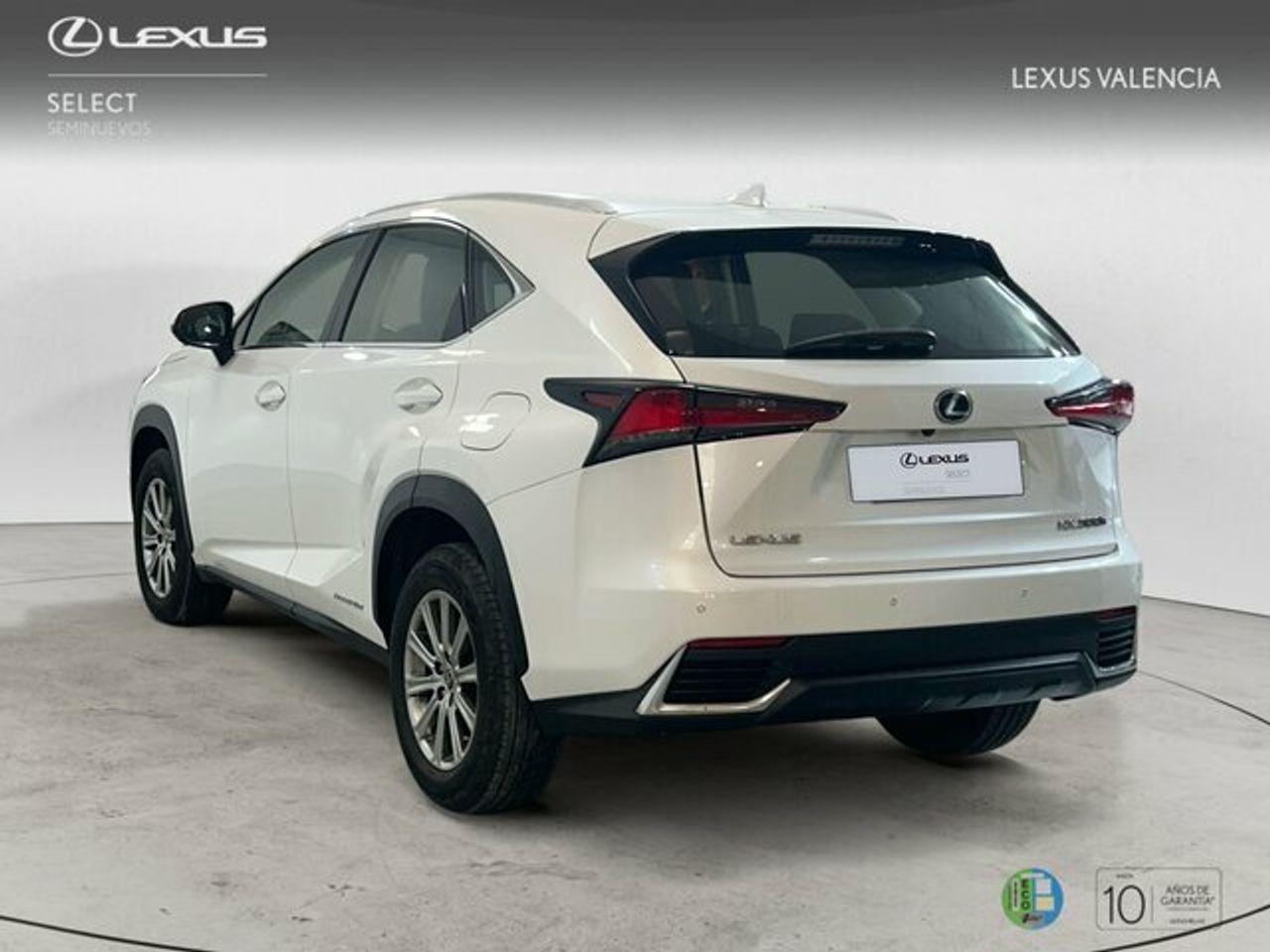 lexus nx 2019 / foto grande (2)