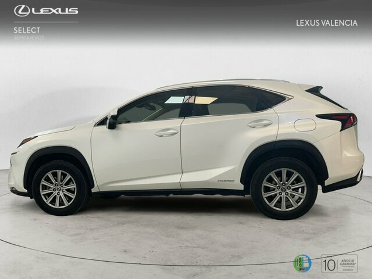 lexus nx 2019 / foto grande (3)