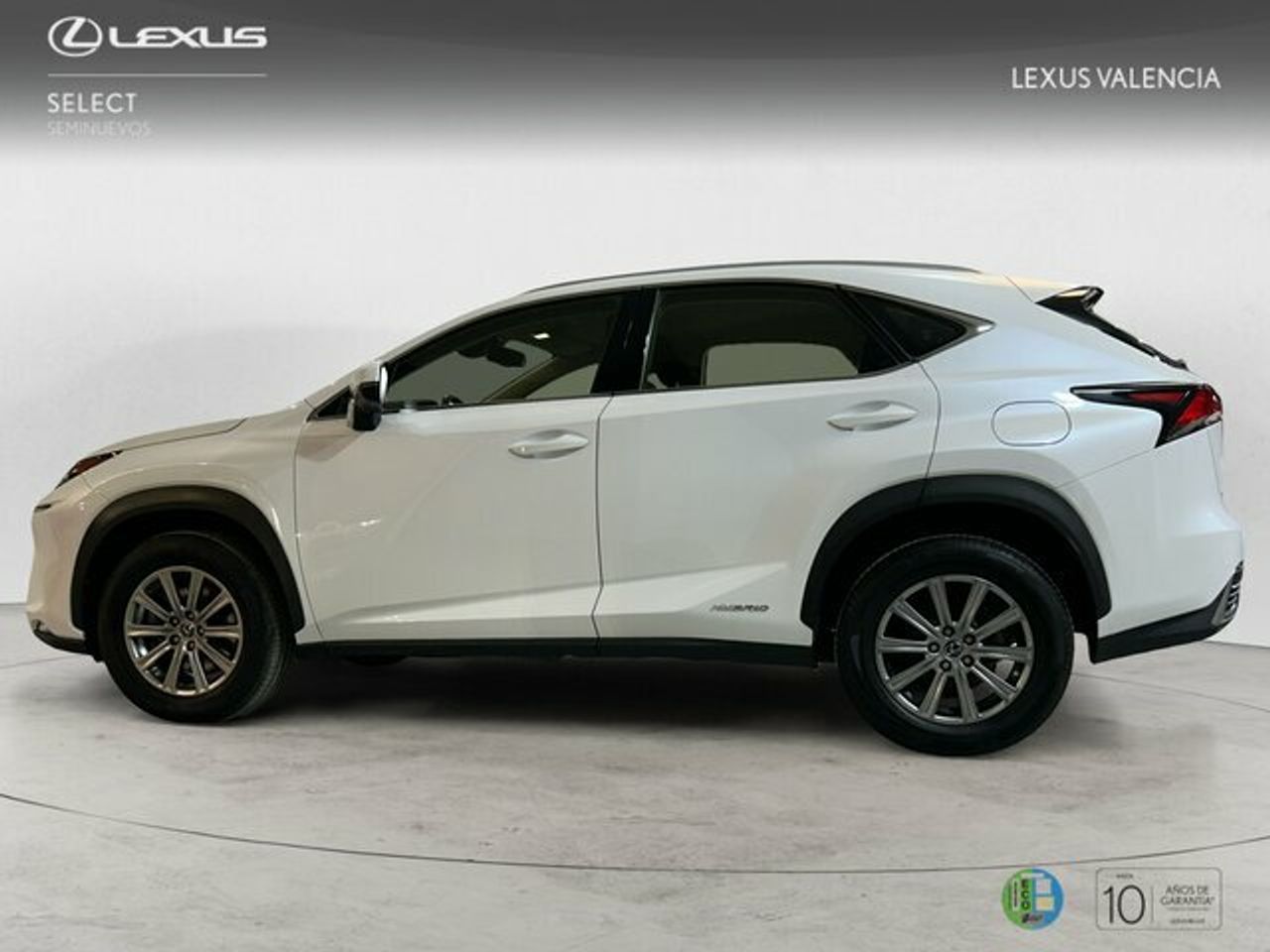 lexus nx 2019 / foto grande (3)