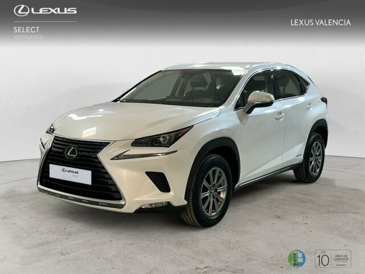 Foto lexus nx 2019 /