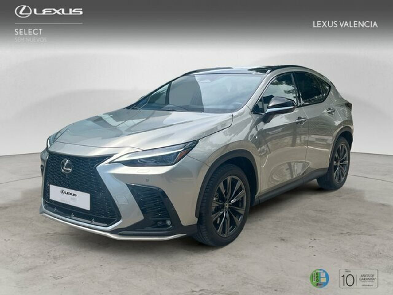Foto lexus nx 2025 /