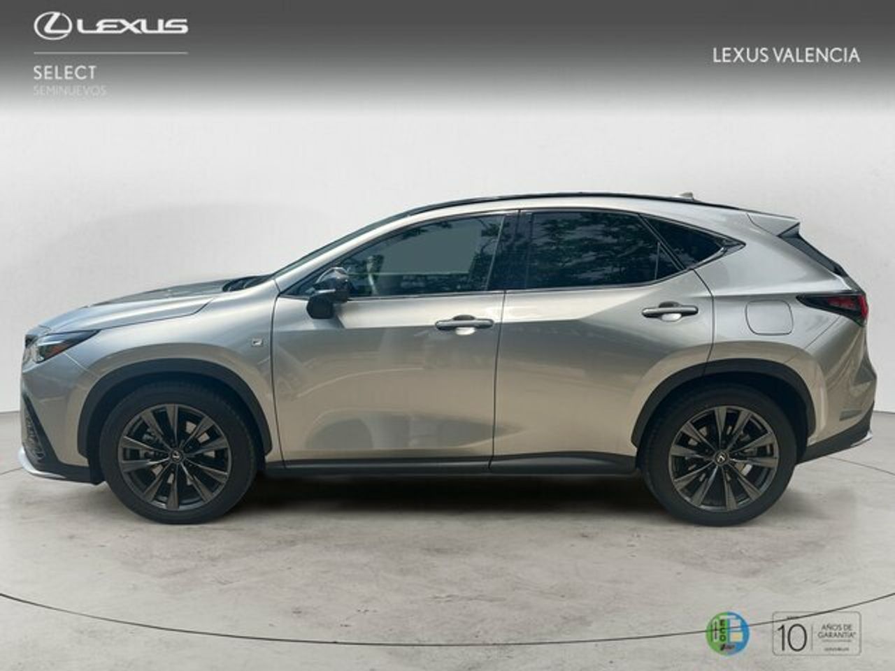 lexus nx 2025 / foto grande (3)