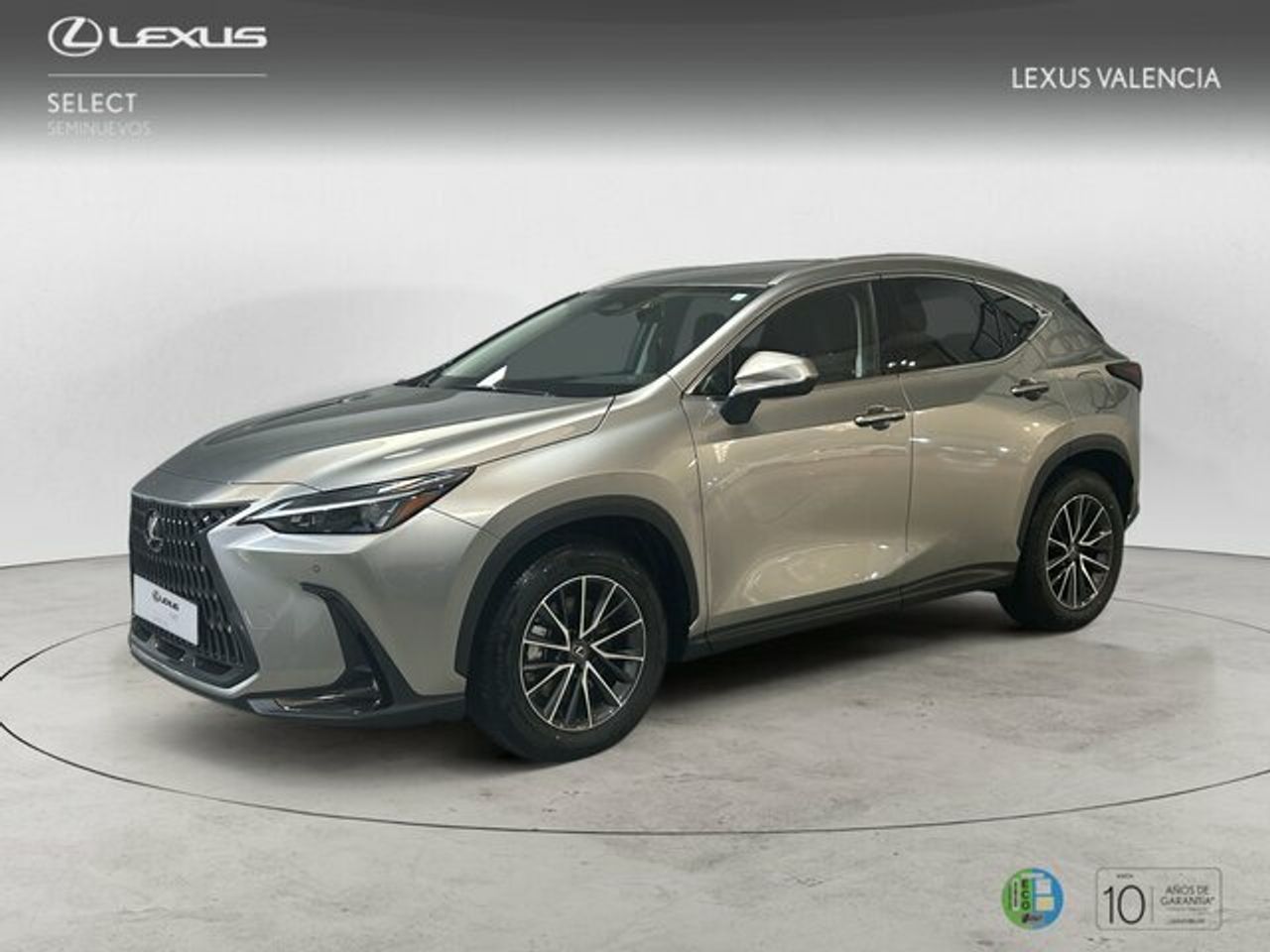 Foto lexus nx 2025 /