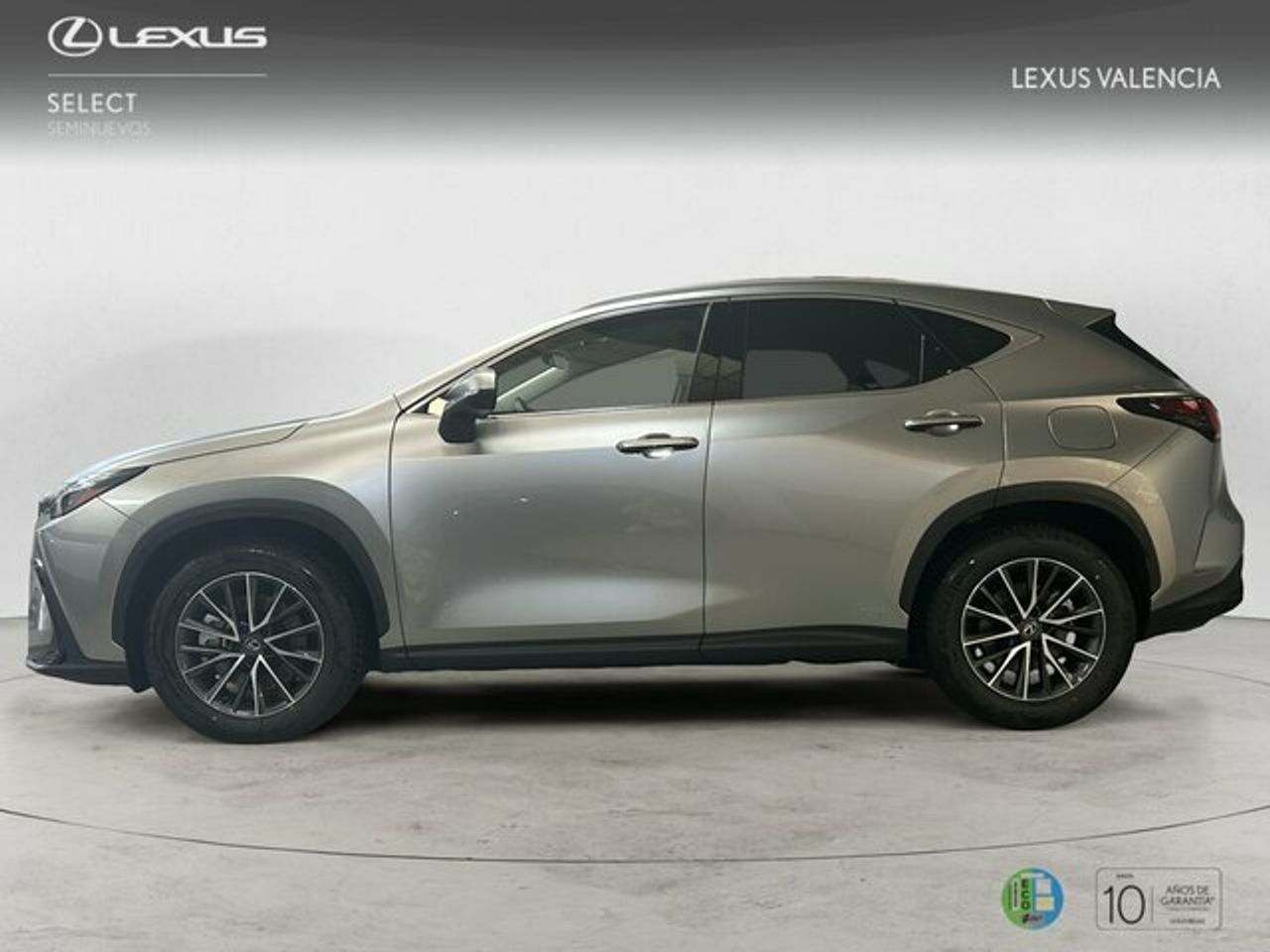 lexus nx 2025 / foto grande (3)