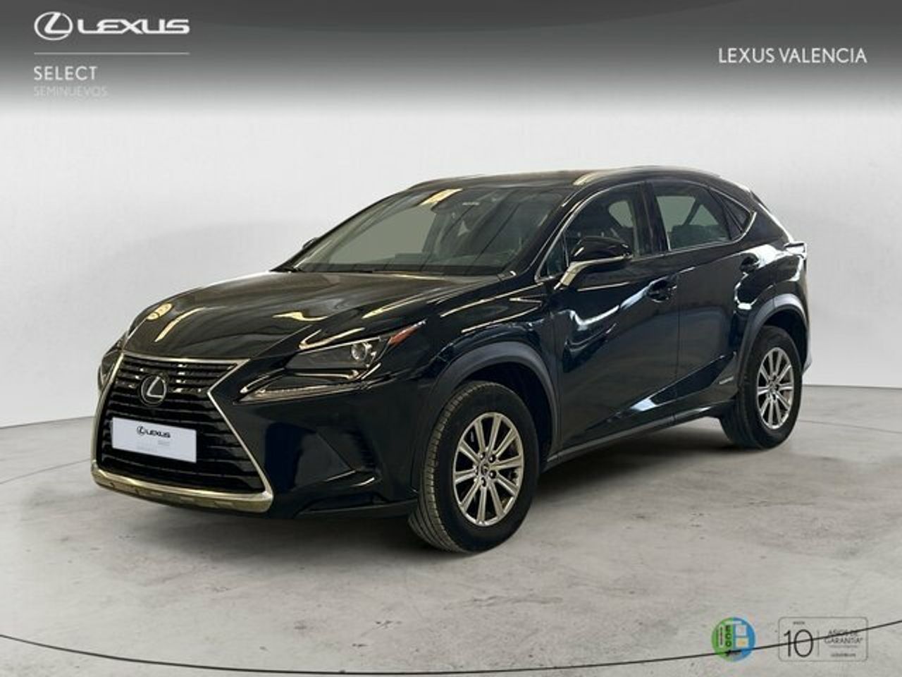 lexus nx 2021 /