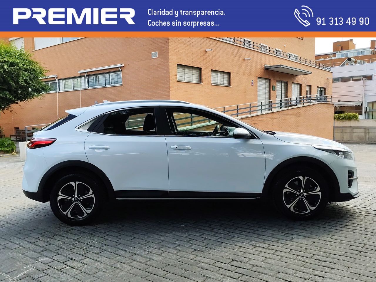Nissan qashqai hibrido 2022  de segunda mano - kia xceed 2022 /