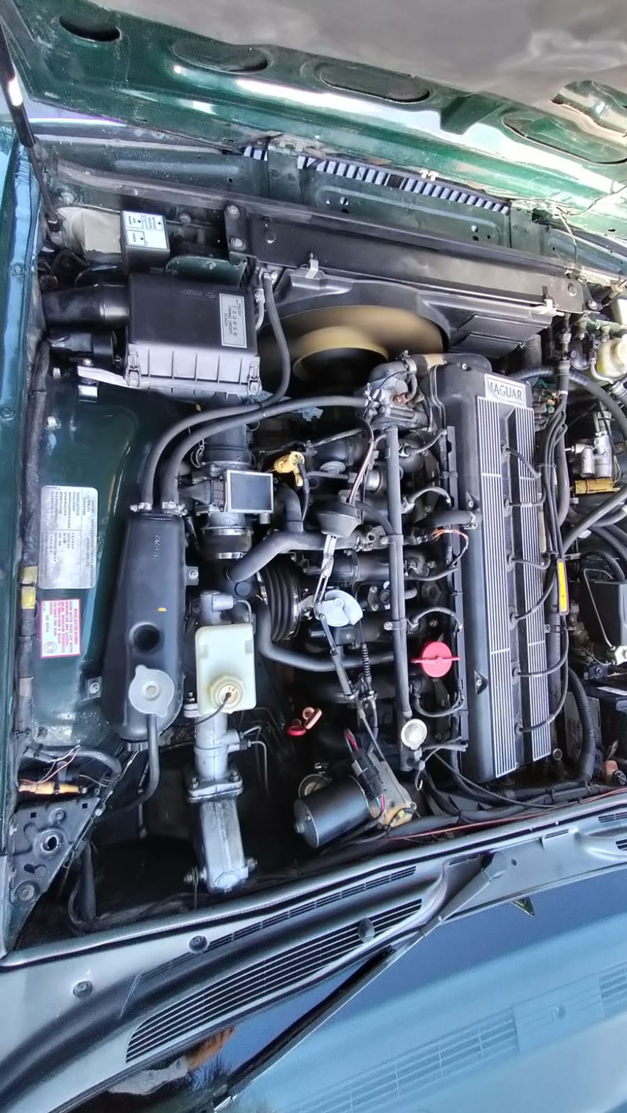 Jaguar XJ 6  Sovereign - foto 15