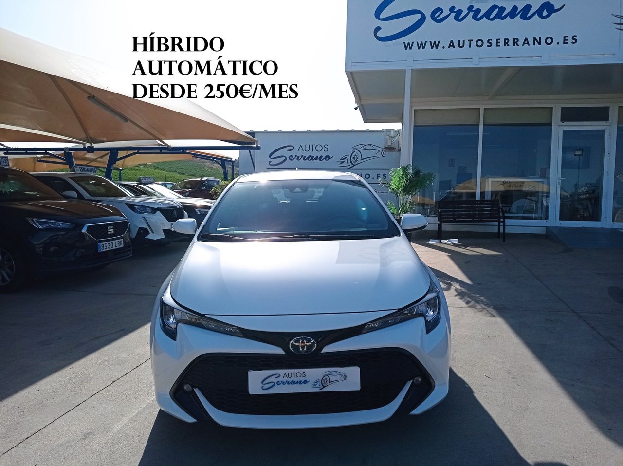toyota corolla 2022 /