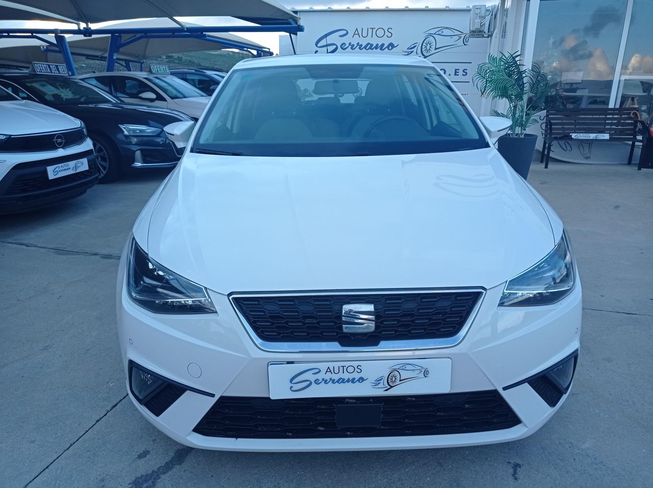seat ibiza 2019 / foto grande (2)