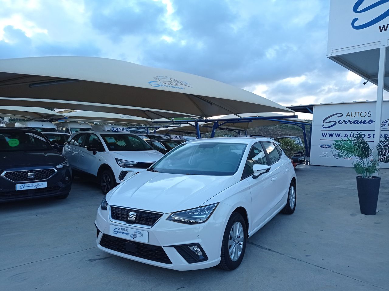 seat ibiza 2019 / foto grande (3)