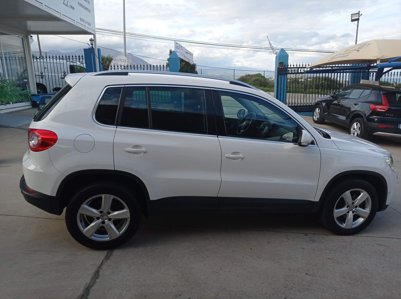 volkswagen tiguan 2009 / foto grande (2)