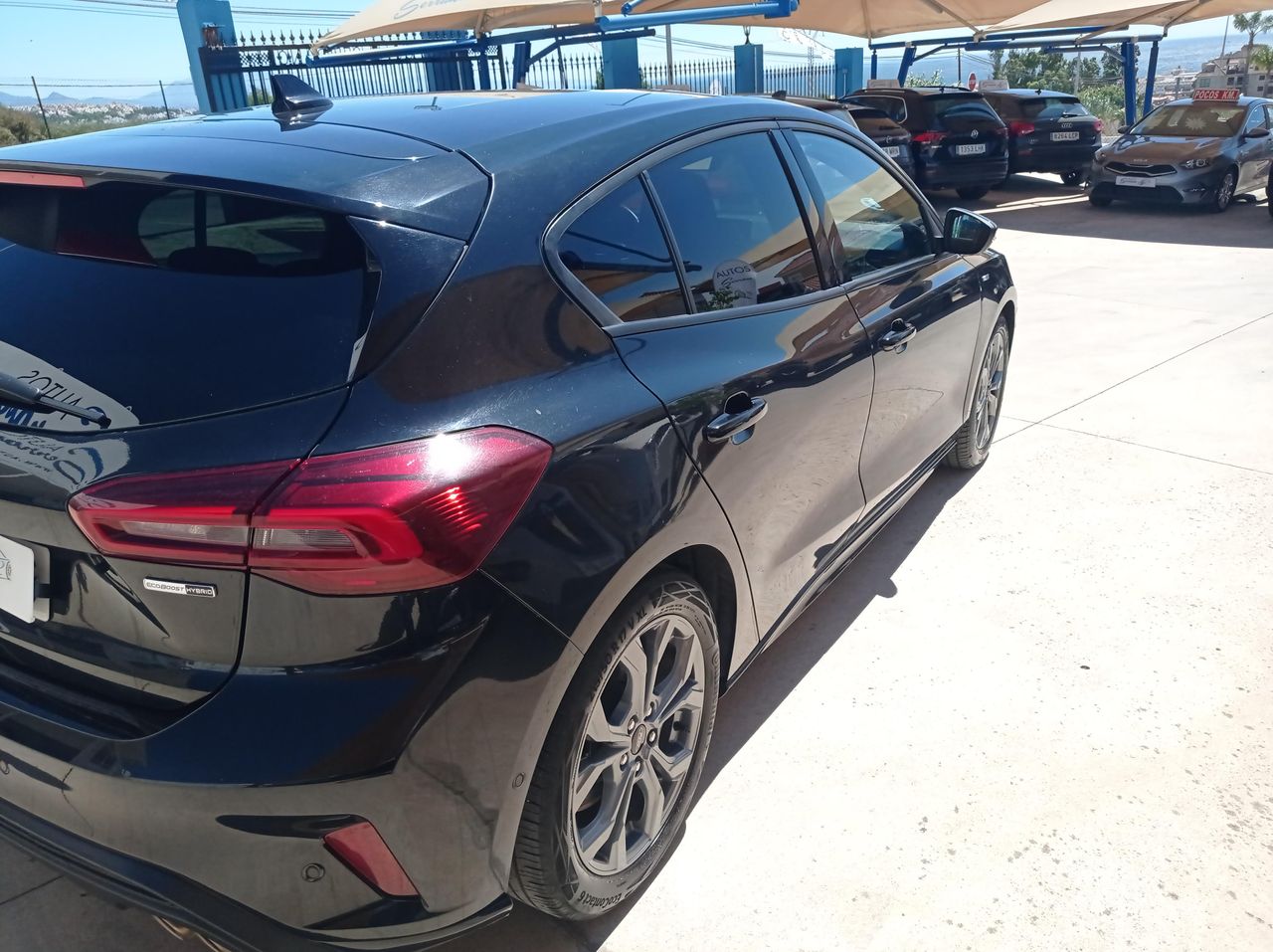 ford focus 2023 / foto grande (3)