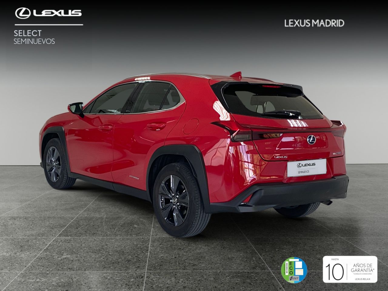 lexus ux 2020 / foto grande (2)