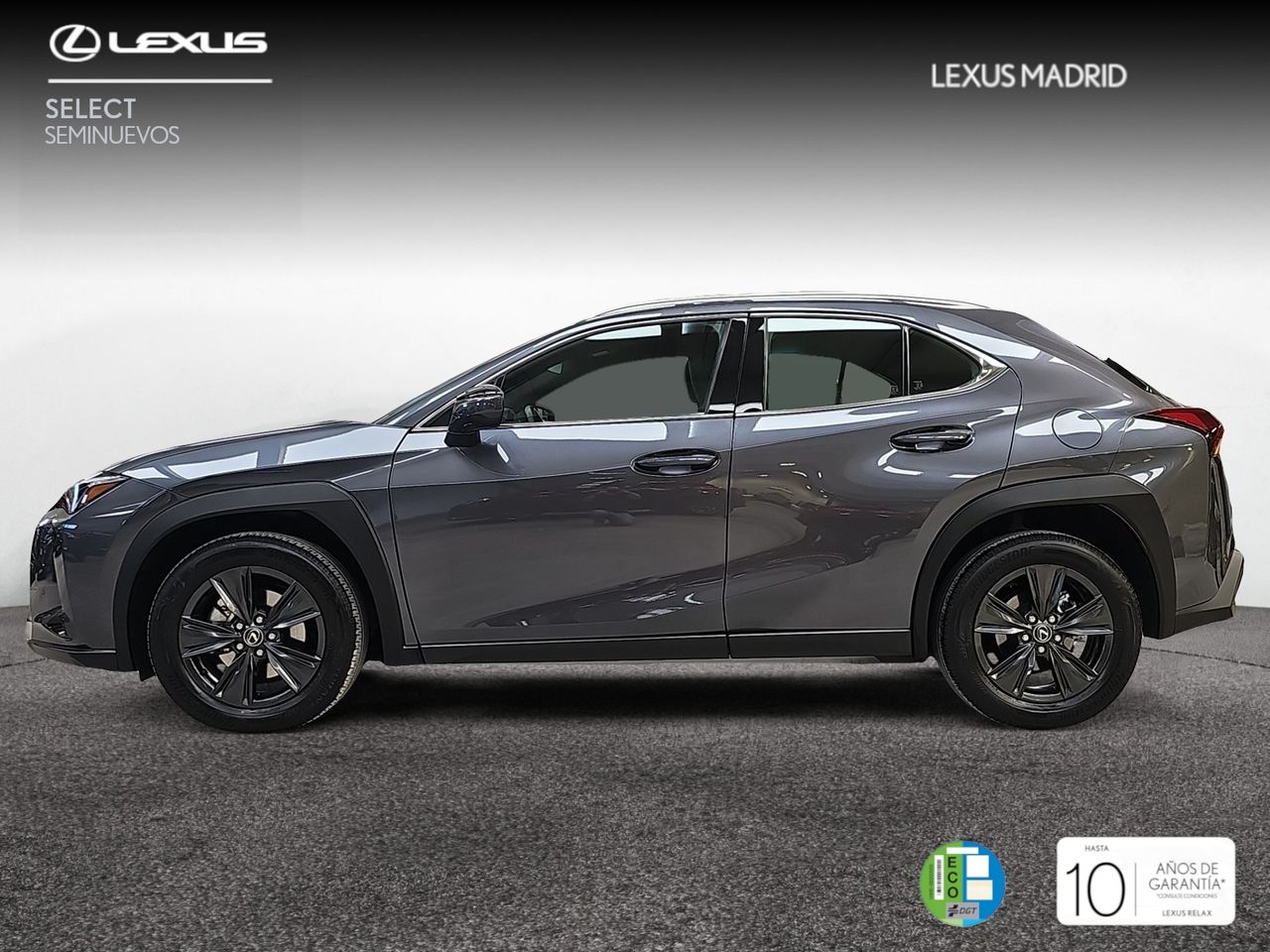 lexus ux 2024 / foto grande (3)