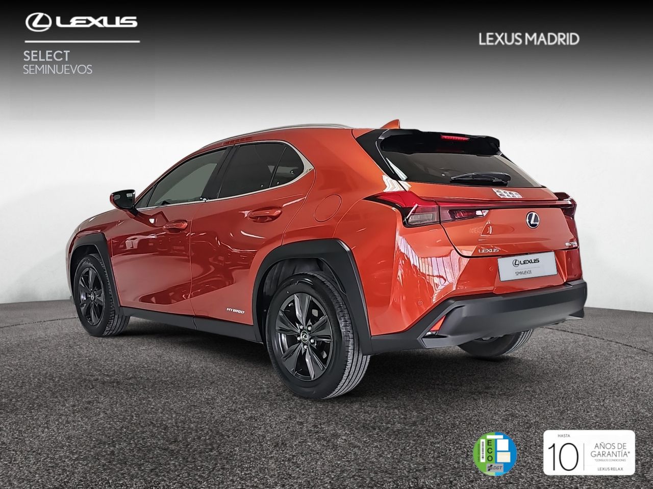 lexus ux 2021 / foto grande (2)