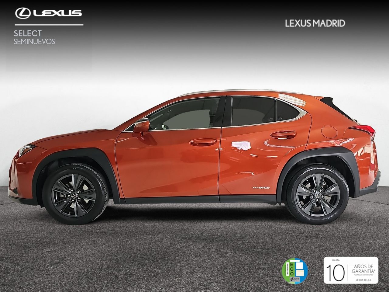 lexus ux 2021 / foto grande (3)