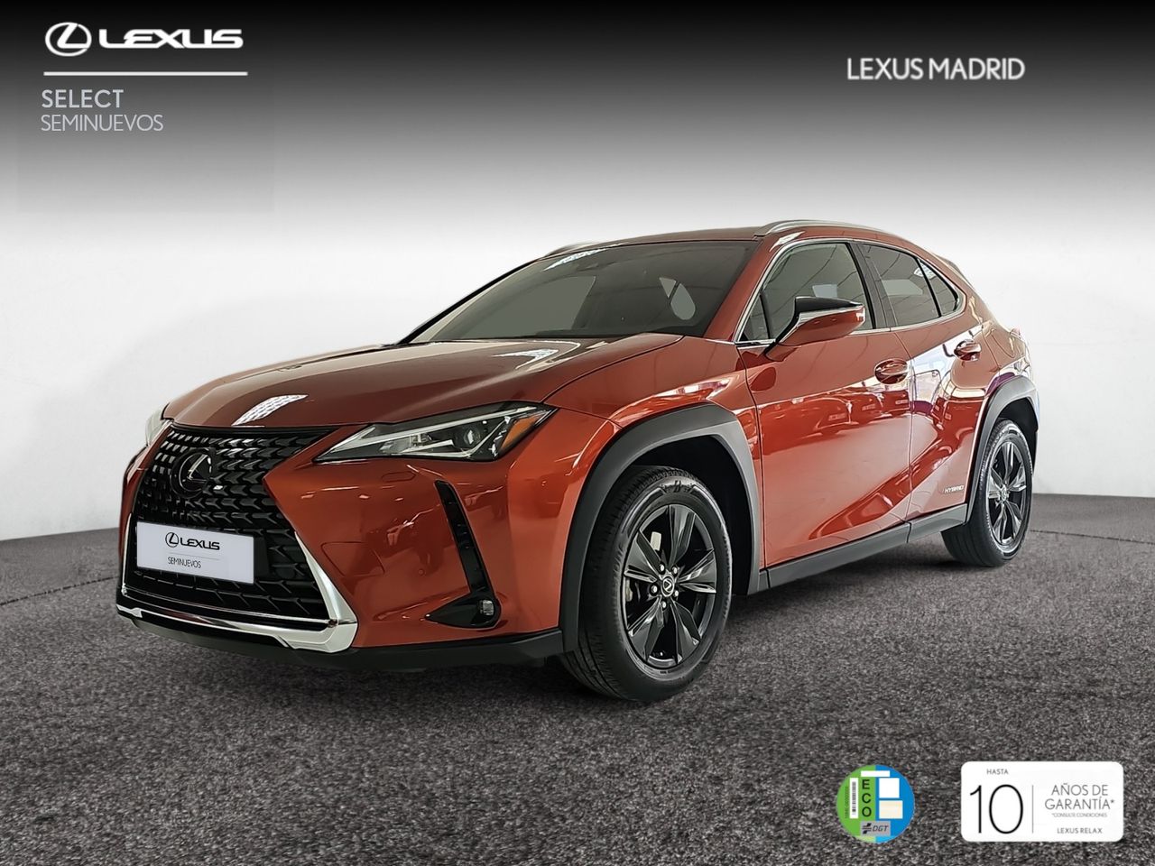 Lexus  de segunda mano - lexus ux 2021 /