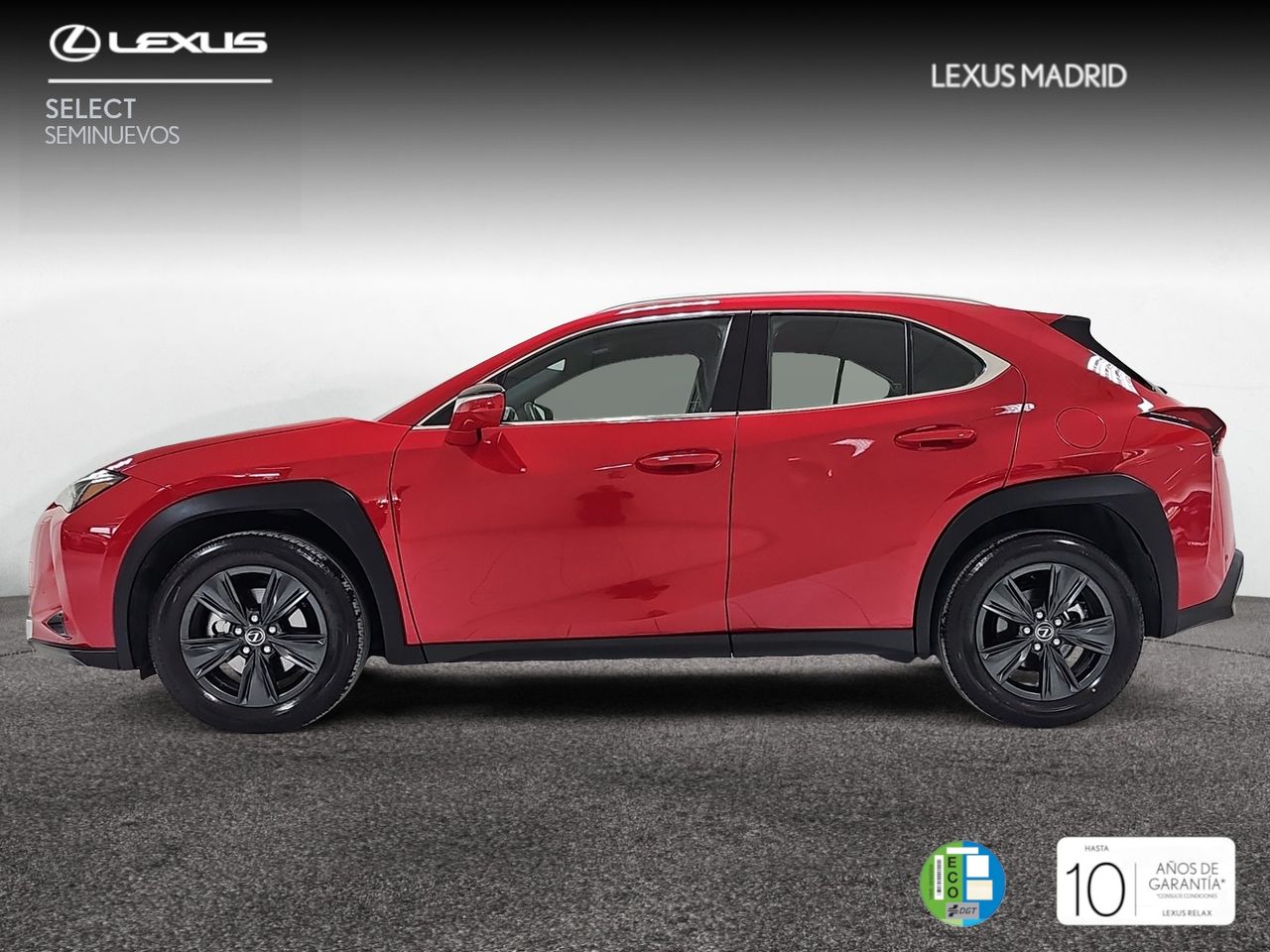 lexus ux 2024 / foto grande (3)