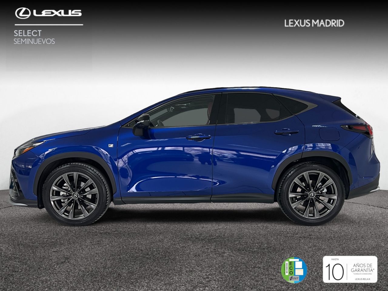 lexus nx 2024 / foto grande (3)