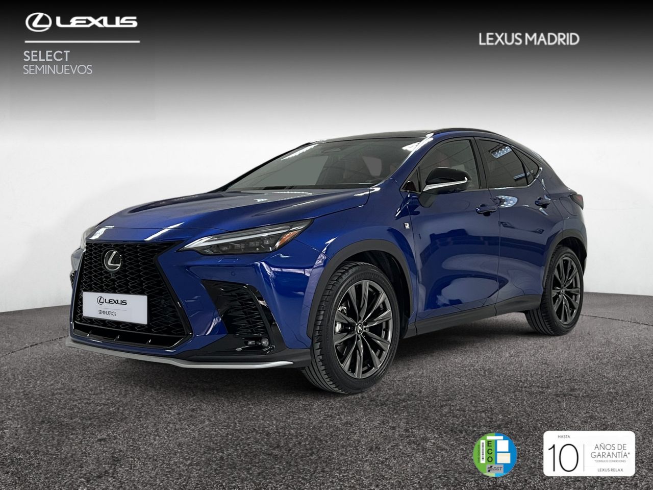 Foto lexus nx 2024 /