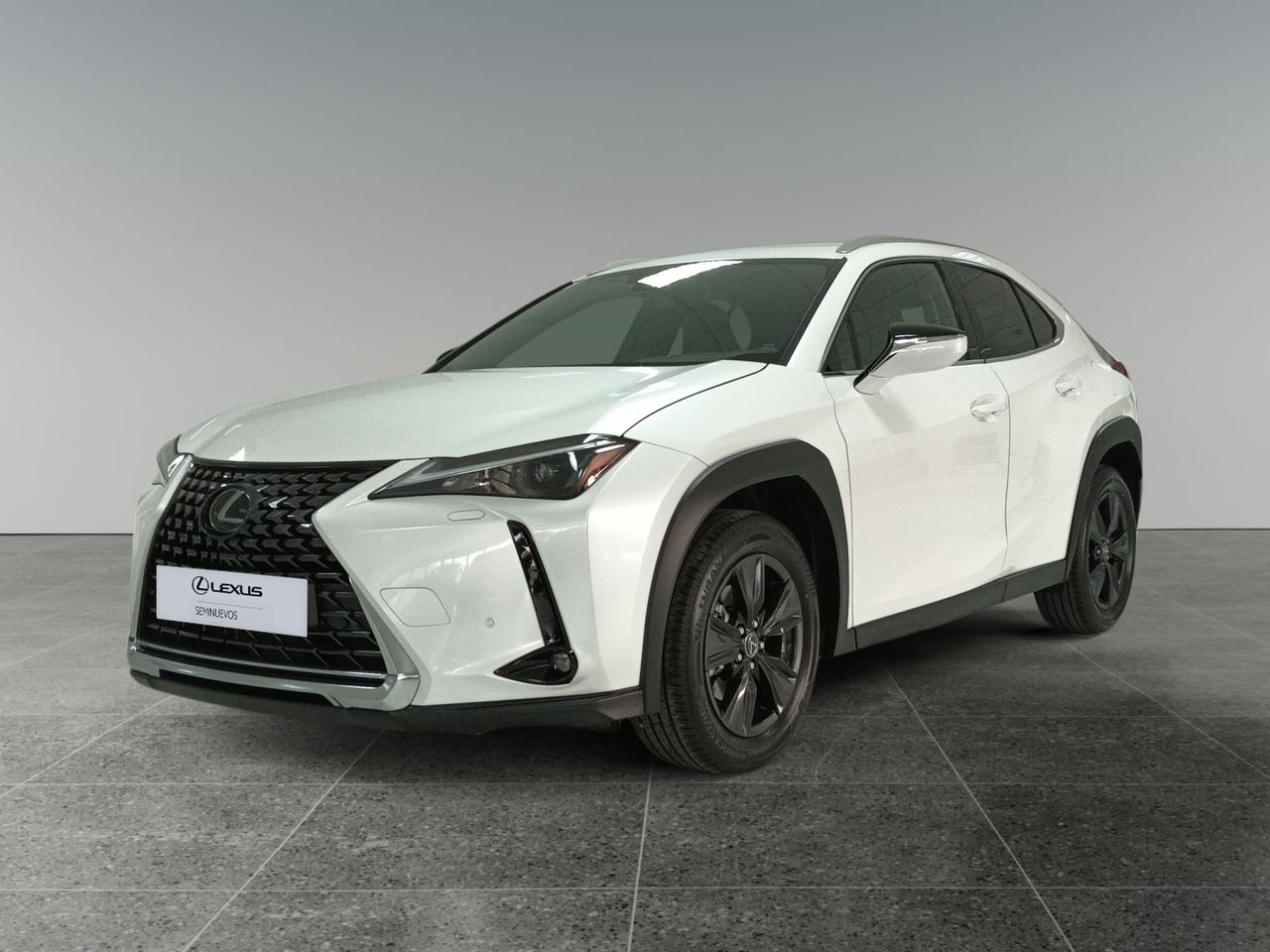 Casa independiente  de segunda mano - lexus ux 2024 /