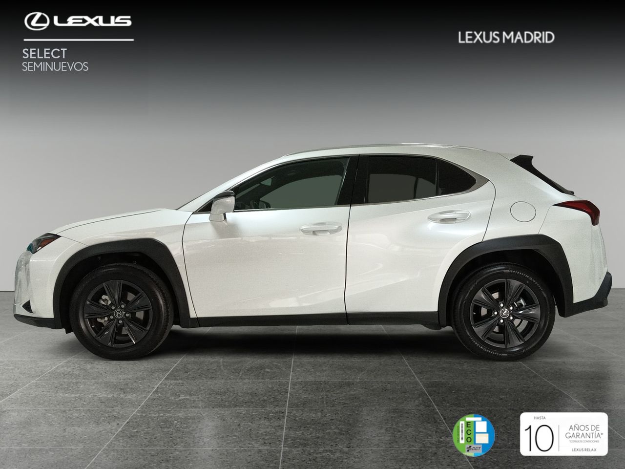 lexus ux 2024 / foto grande (3)