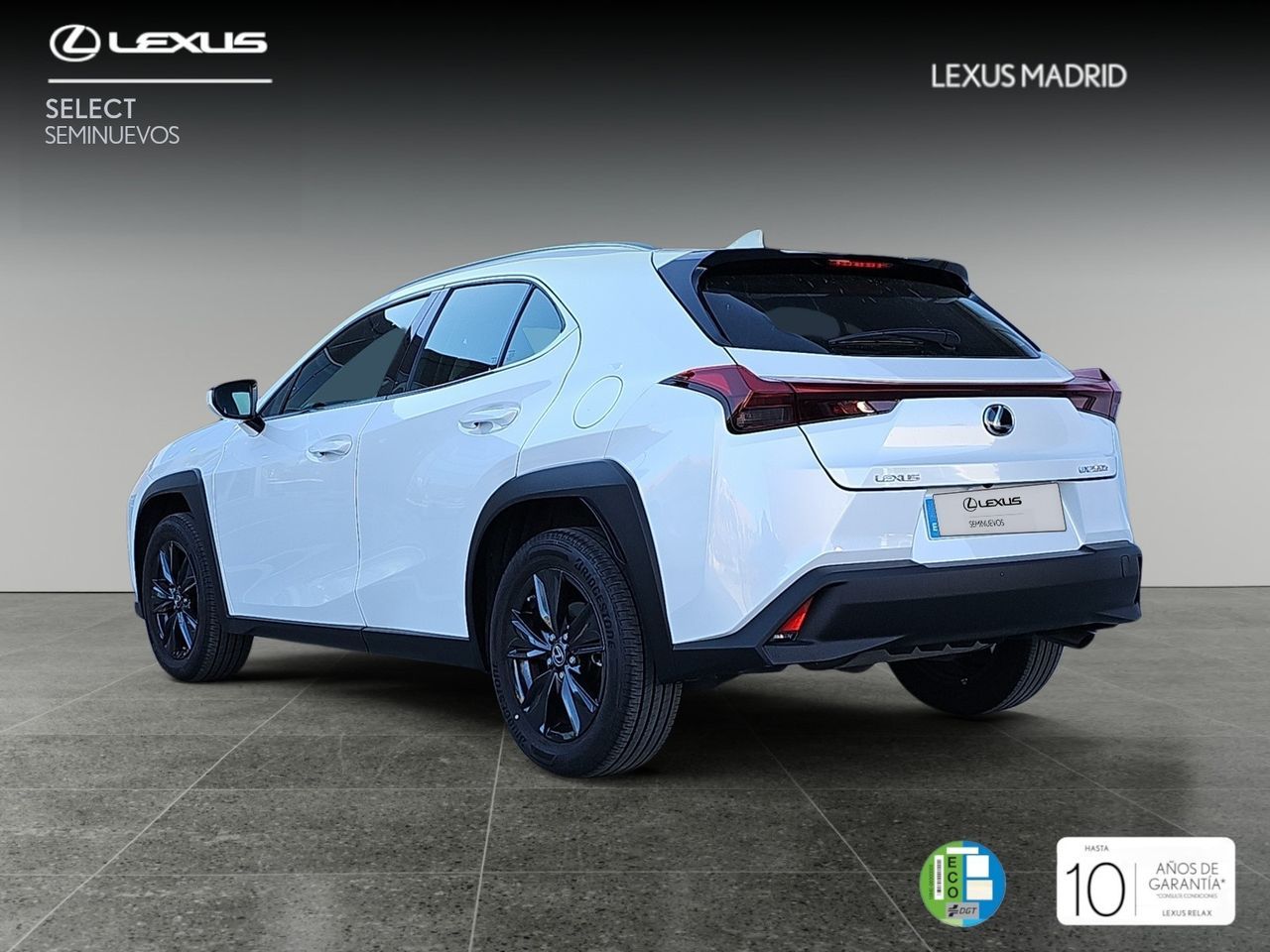 lexus ux 2024 / foto grande (2)