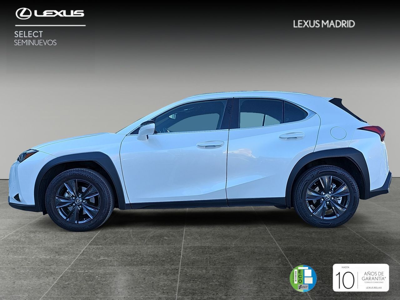 lexus ux 2024 / foto grande (3)