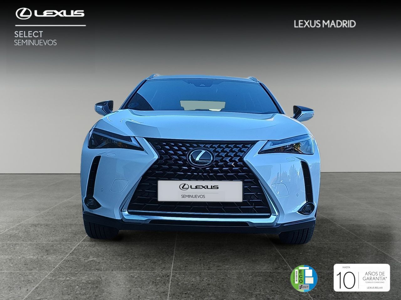 lexus ux 2024 / foto grande (2)