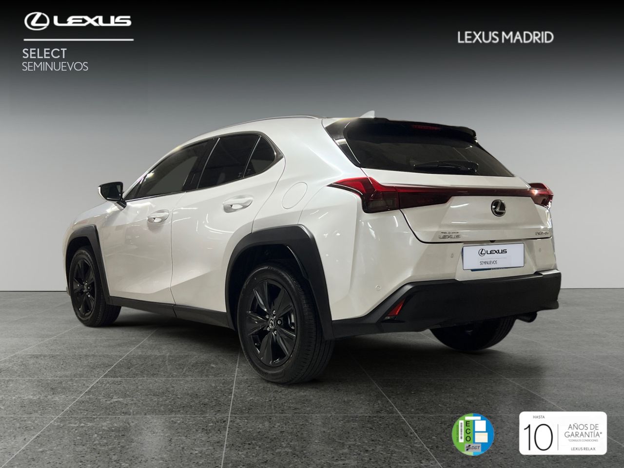 lexus ux 2024 / foto grande (2)