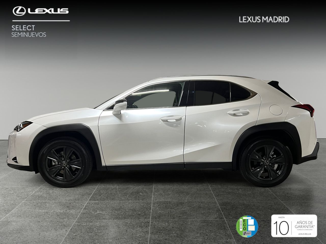 lexus ux 2024 / foto grande (3)