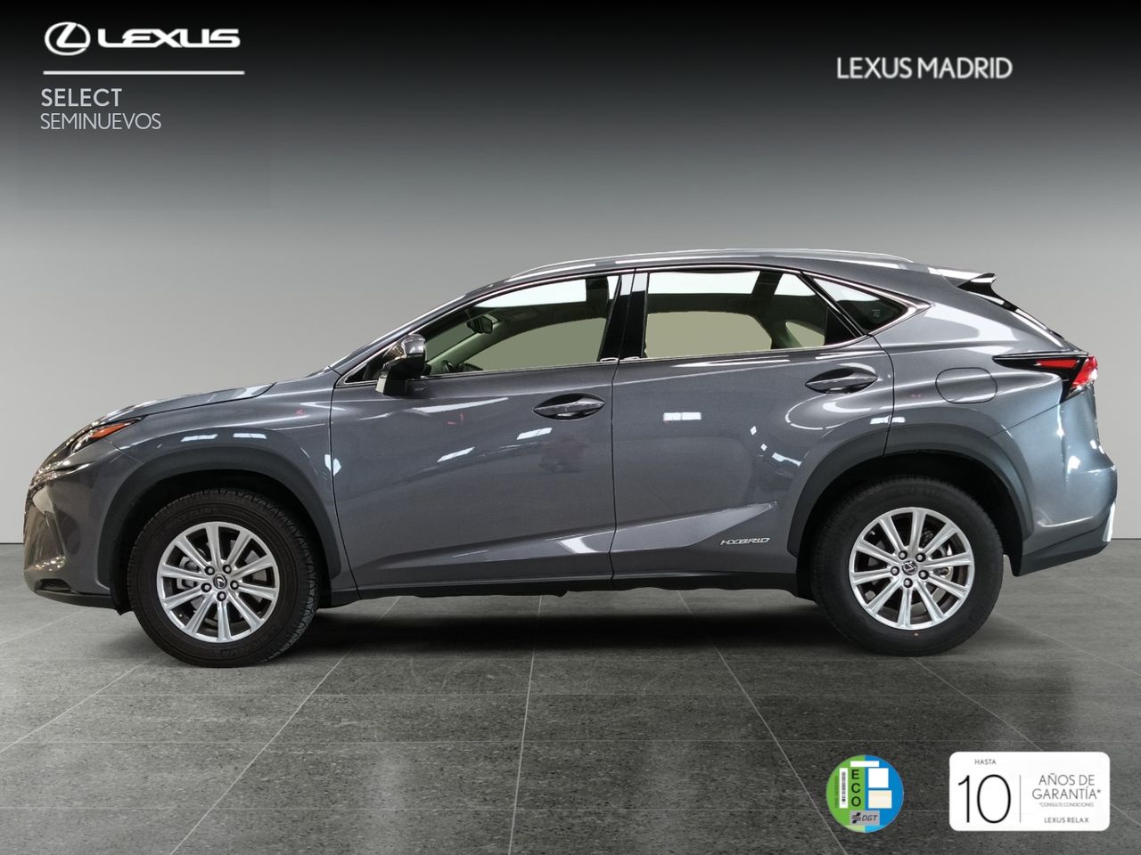 lexus nx 2021 / foto grande (3)