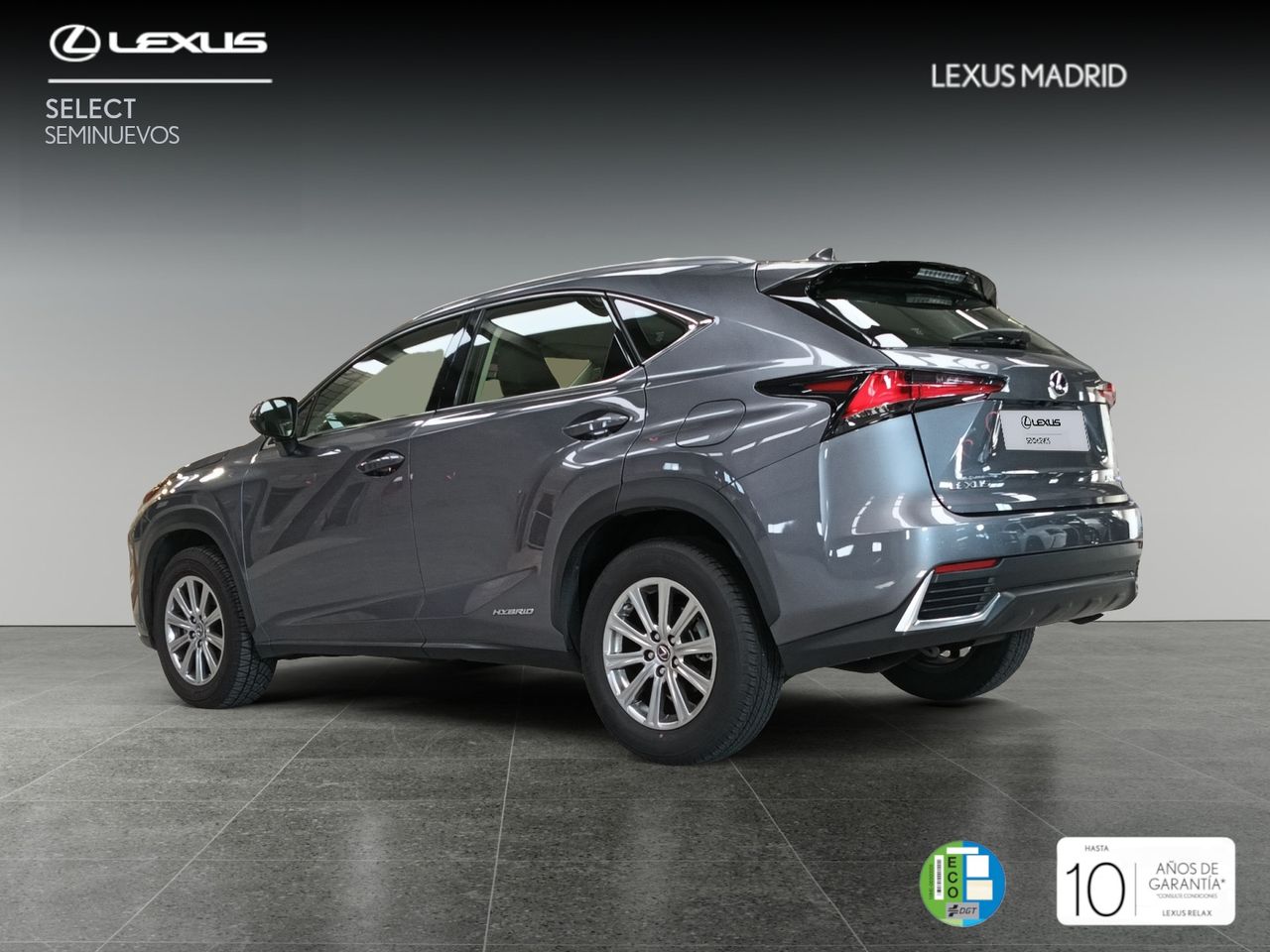 lexus nx 2021 / foto grande (2)