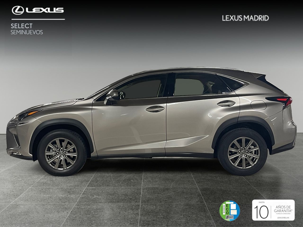 lexus nx 2021 / foto grande (3)
