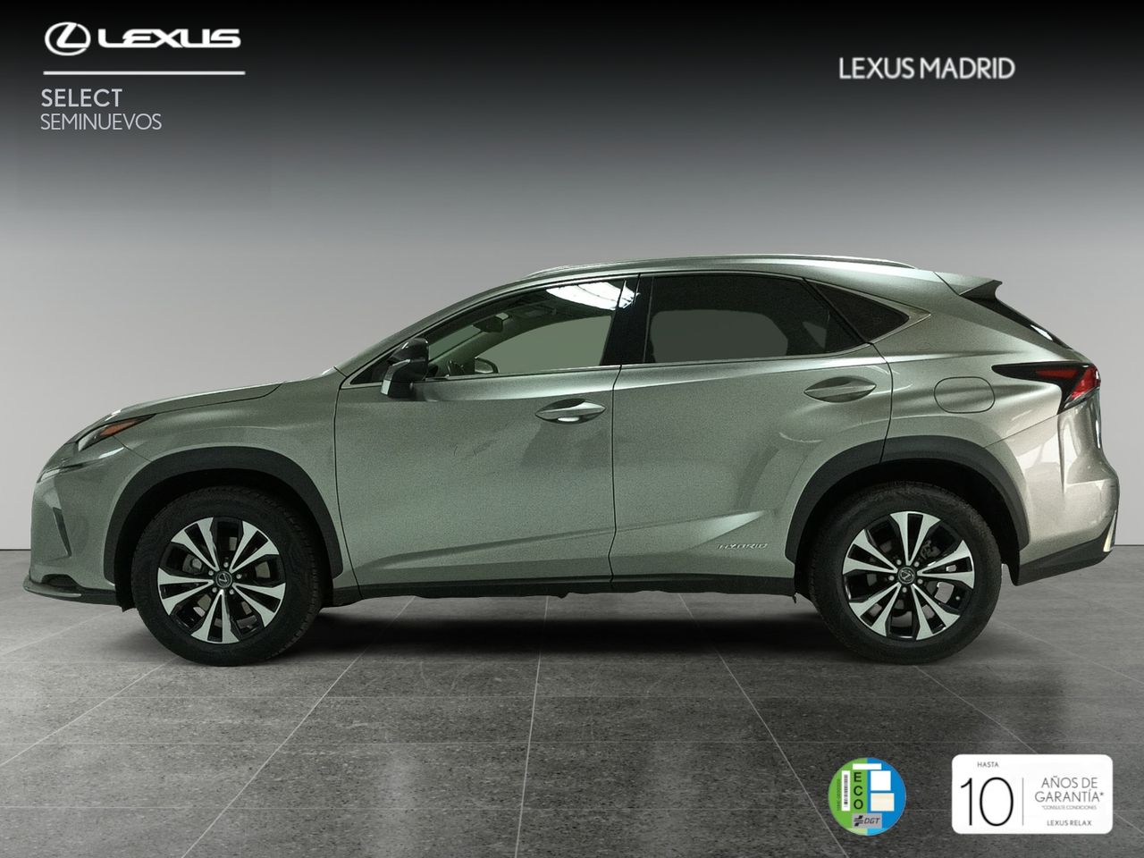 lexus nx 2021 / foto grande (3)