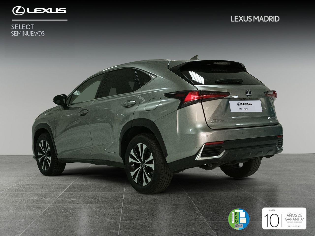 lexus nx 2021 / foto grande (2)