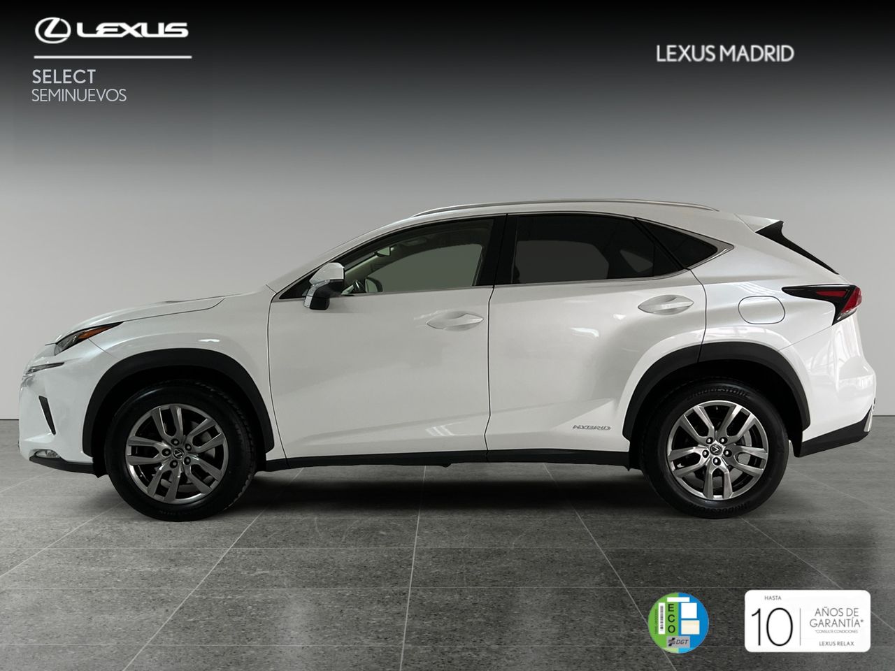 lexus nx 2020 / foto grande (3)