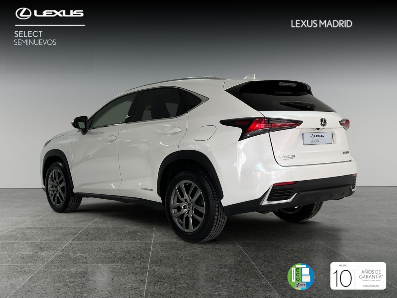 lexus nx 2020 / foto grande (2)