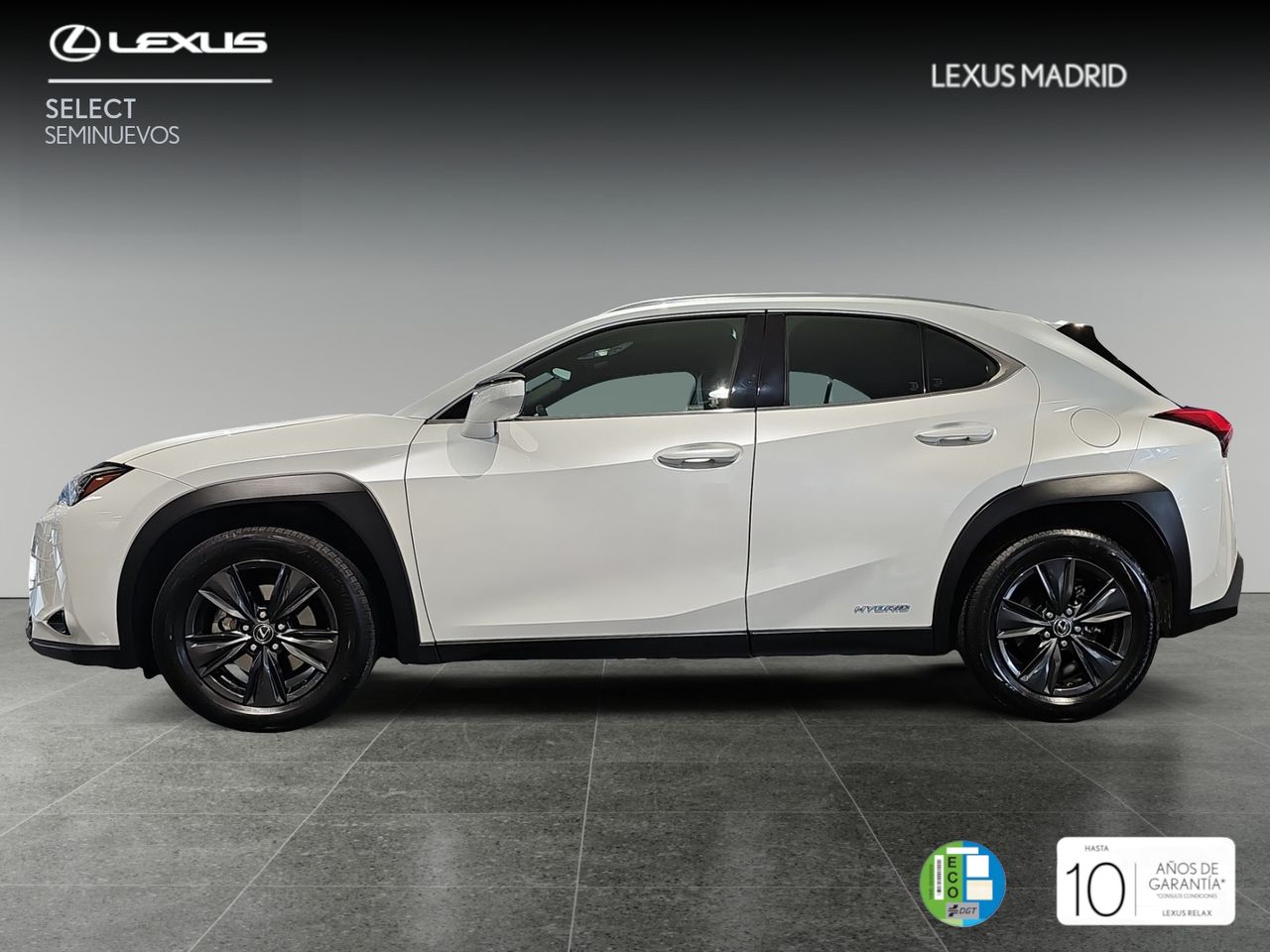 lexus ux 2022 / foto grande (3)