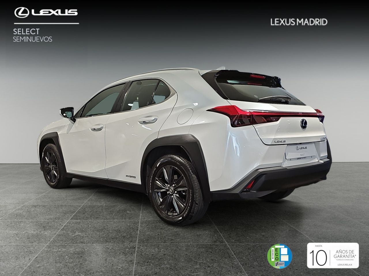 lexus ux 2022 / foto grande (2)