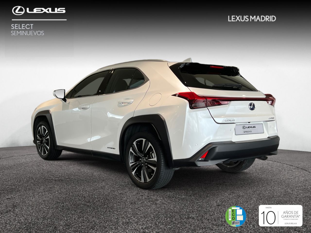 lexus ux 2021 / foto grande (2)