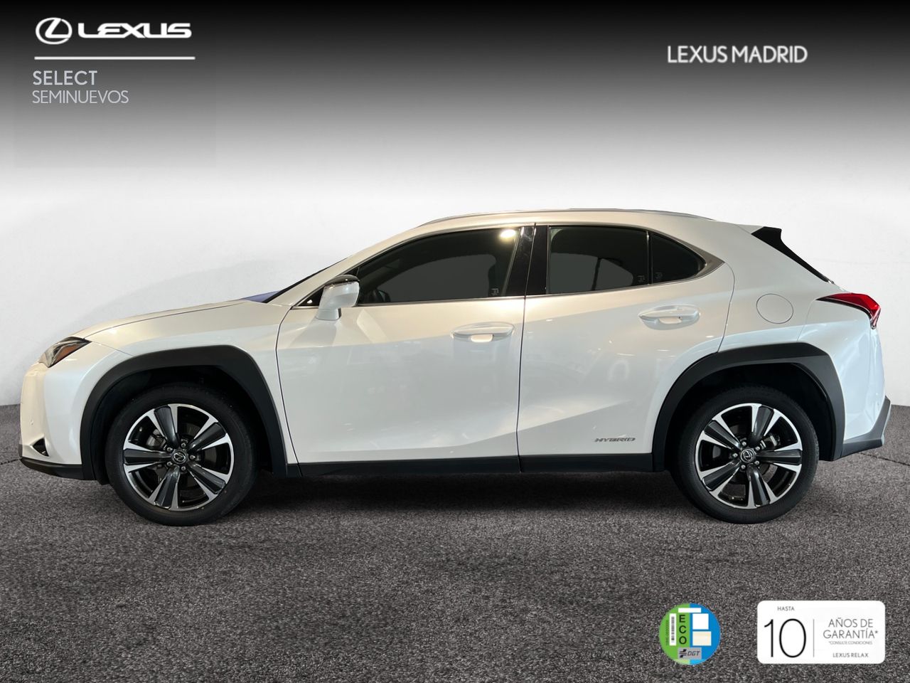 lexus ux 2021 / foto grande (3)
