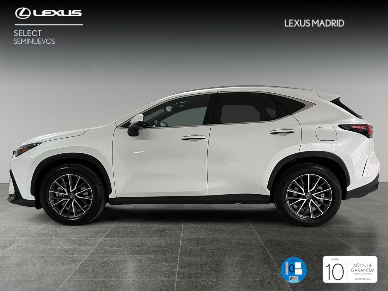 lexus nx 2024 / foto grande (2)