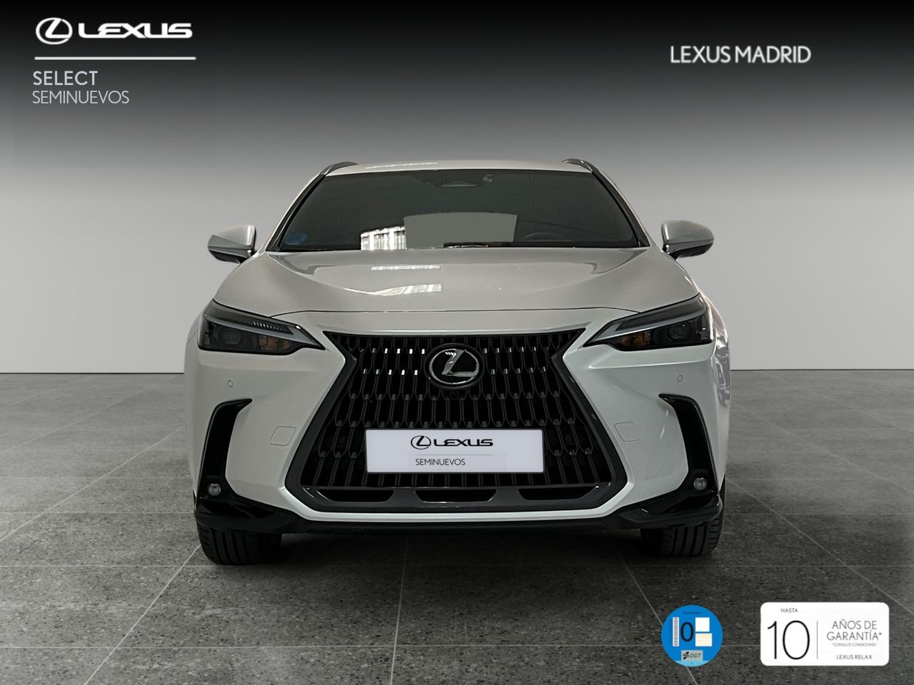 lexus nx 2024 / foto grande (3)