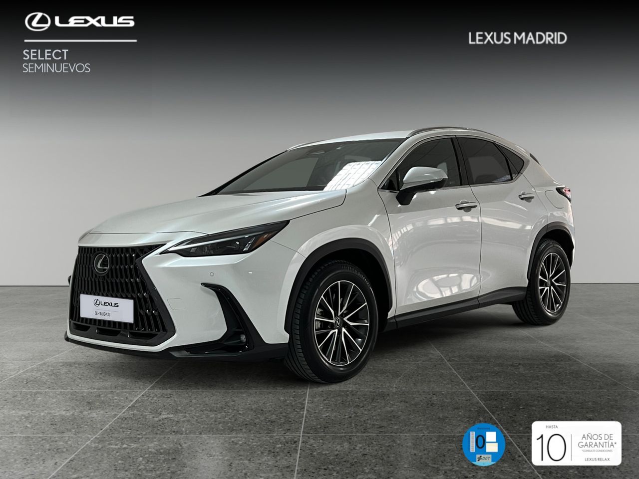 Foto lexus nx 2024 /